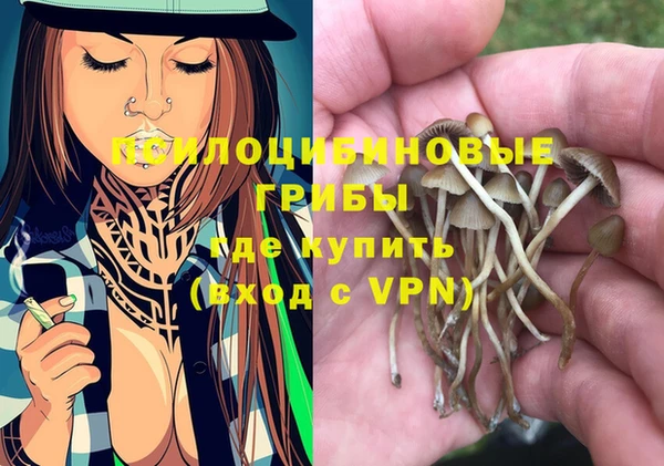 а пвп мука Вяземский