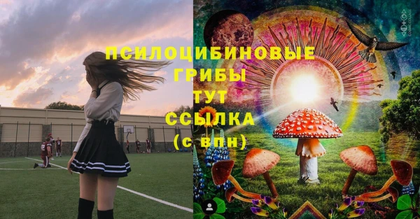 ALPHA PVP Вязники